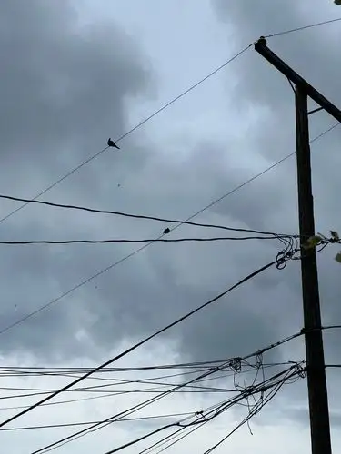 Tangled wires and a moody sky: an urban symphony.
